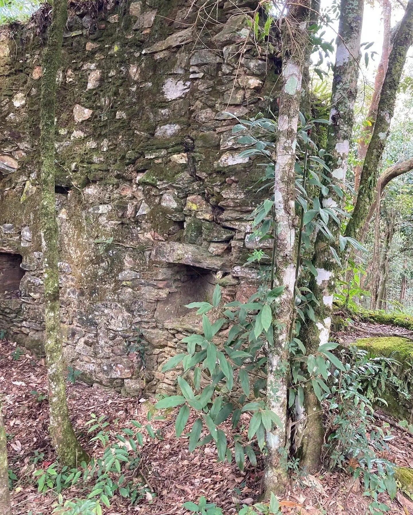 Primeira imagem viagem arqueologia