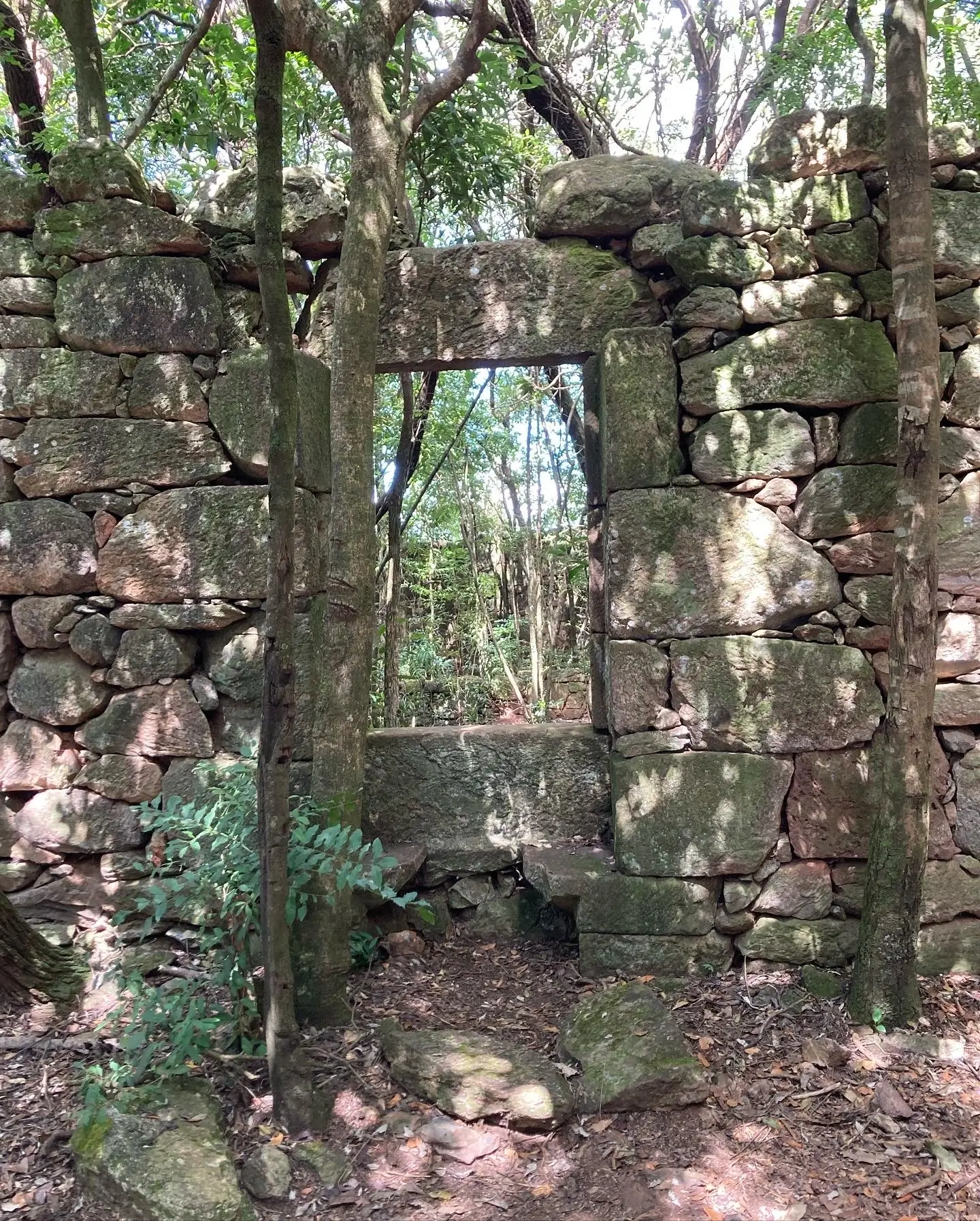 Terceira imagem viagem arqueologia